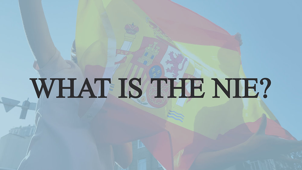 BASICS: What is the NIE?